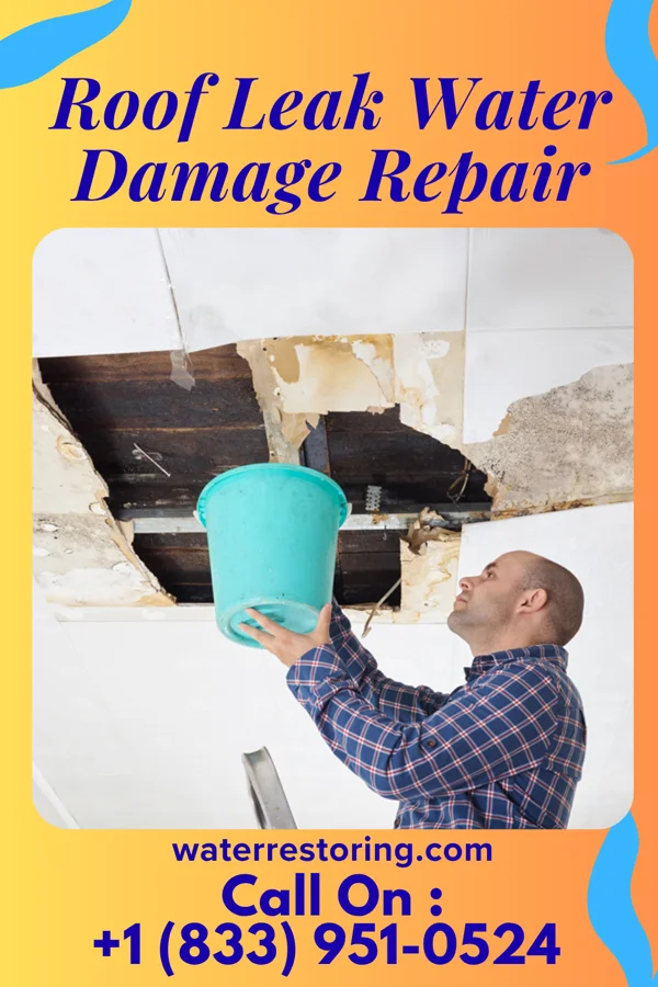 Roof Leak Water Damage Repair in Providence, UT
